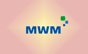 ✓ MWM 0338 7314 Запчасть MWM 